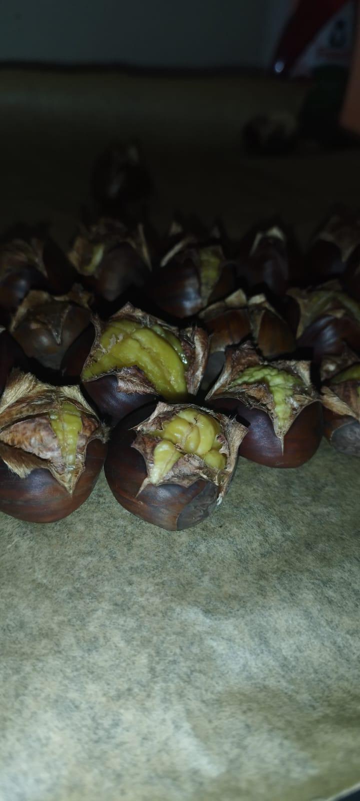 Hoffmannlea recept 5