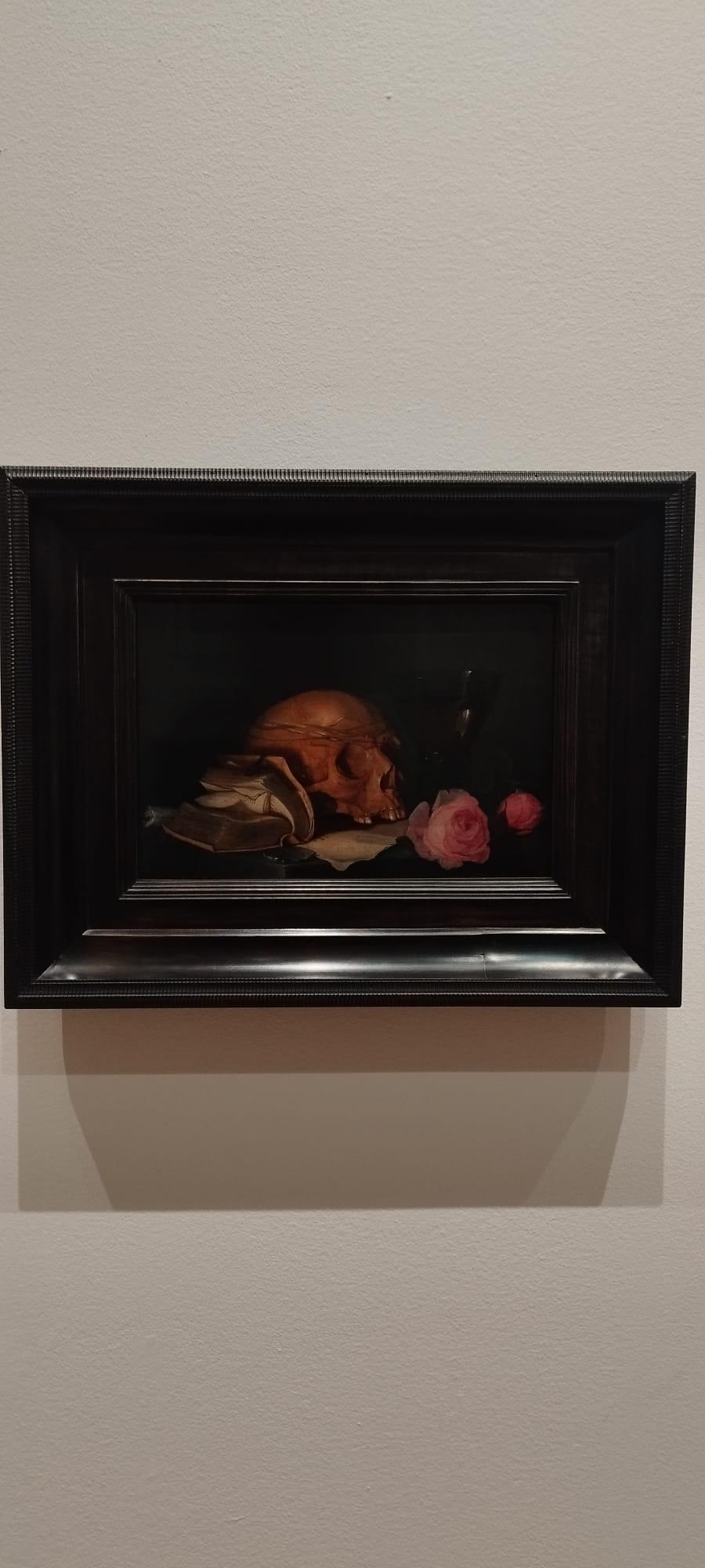 Hoffmannlea stockholm 1