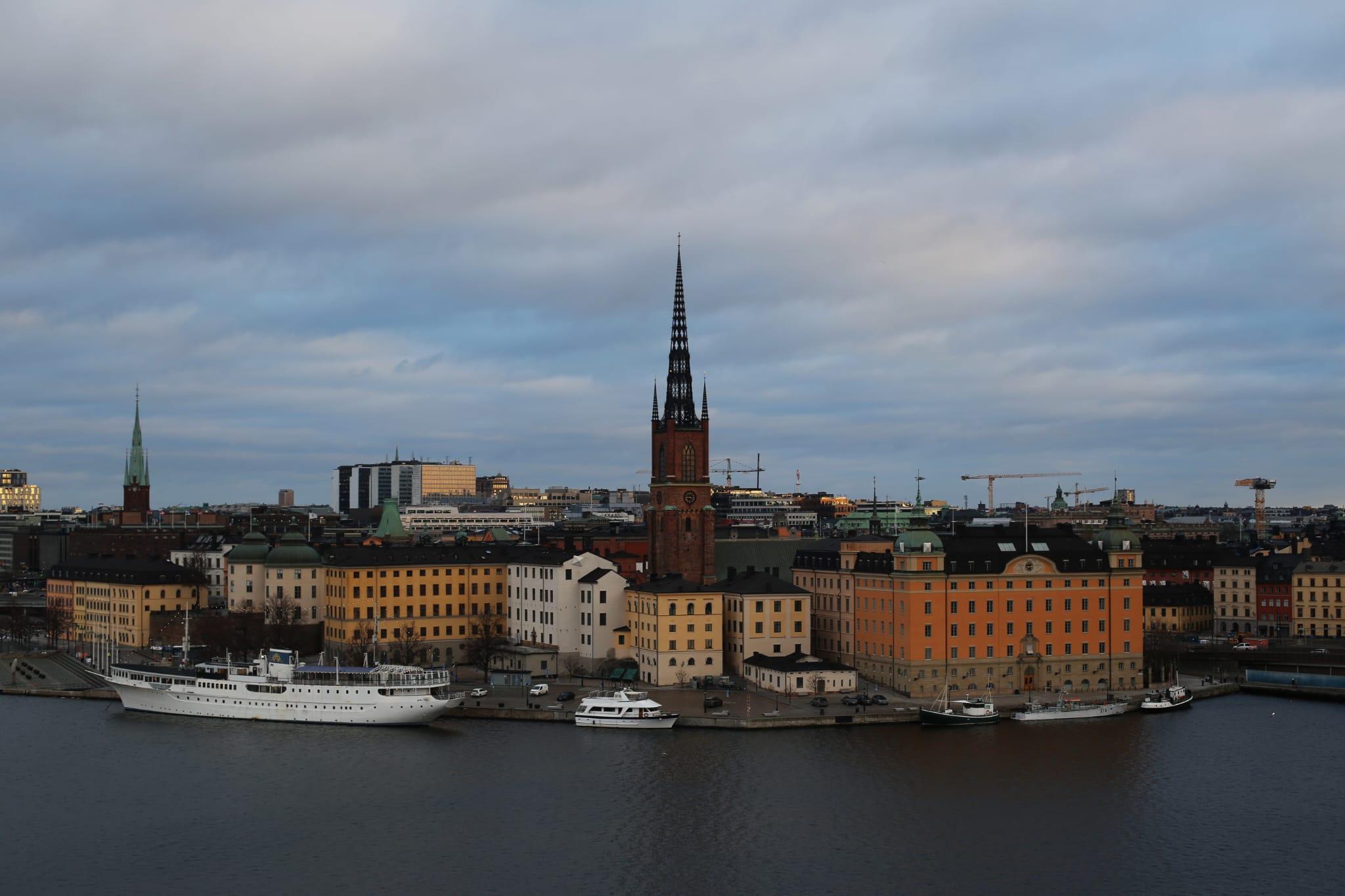 Hoffmannlea stockholm 2