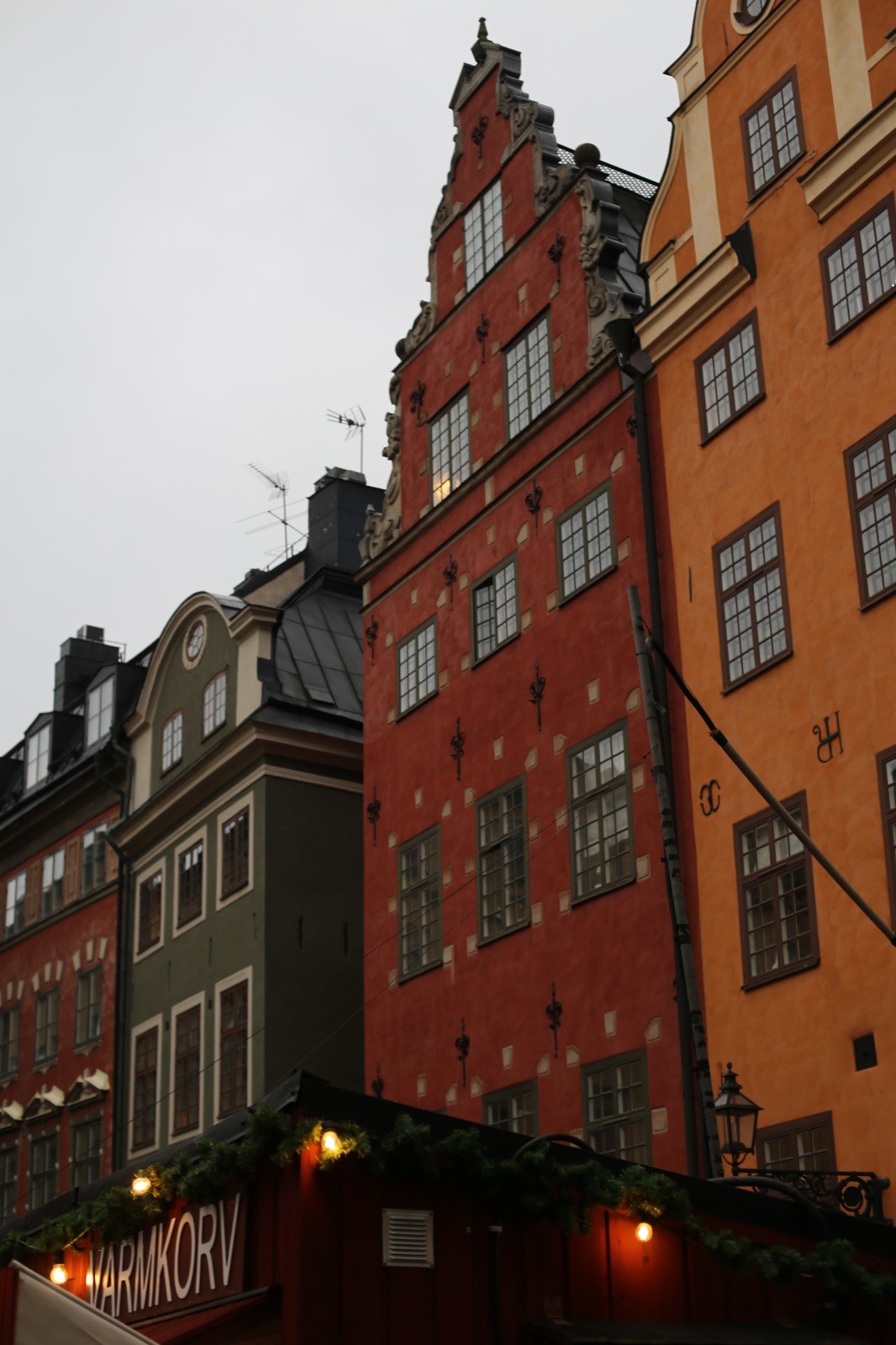 Hoffmannlea stockholm 6