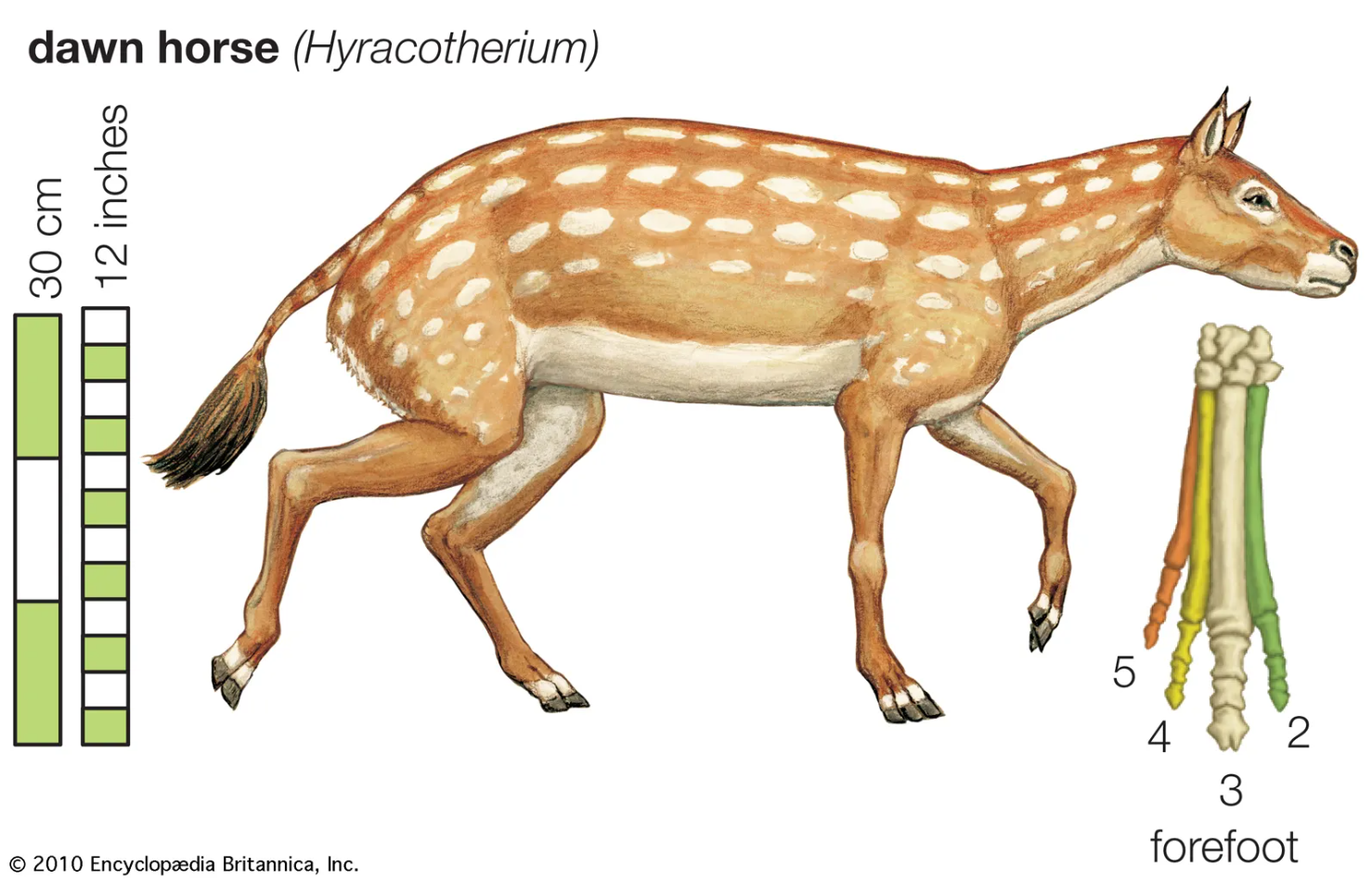 Kép 3