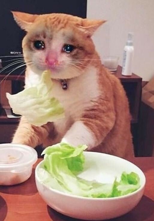 Veganuár 1