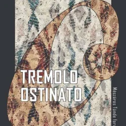 „Veronka végtelen játéka az olvasóval” – Veronika Šikulová: Tremolo ostinato